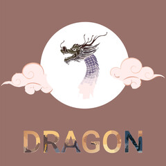 chinese new year dragon