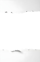 torn paper frame background , holey paper png , ripped paper effect, split paper realistic texture 