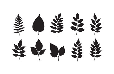 Collection of Elegant Black Silhouette Leaf Illustrations Perfect for Design Projects