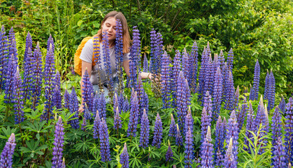 Female traveler enjoying the beauty of wild lupine field in forest setting. Bright purple flowers in full bloom surround the hiker in serene landscape, copy space