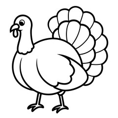 vector illustration of turkey