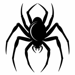 spider isolated on white background