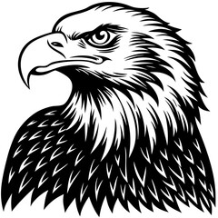eagle vector illustration