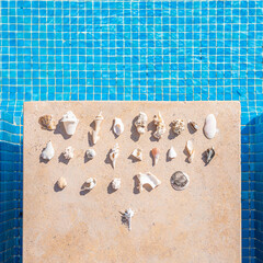 Seashells next to the pool. Perfect vacation concept background..