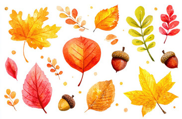 Obraz premium Watercolor illustration of autumn leaves and acorns in vivid colors