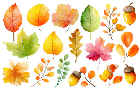 Colorful watercolor illustration of autumn leaves and seasonal nature elements