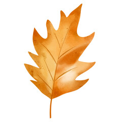 Watercolor autumn leaf. Hand painted fall foliage element for seasonal design, posters, cards or invitations