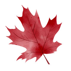 Single autumn red leaf in watercolor. Isolated hand drawn fall foliage illustration for print and digital use