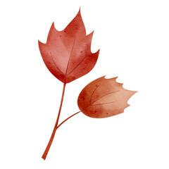 Watercolor autumn leaf. Hand painted fall foliage element for seasonal design cards or invitations