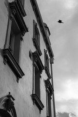 Classical Historic Building Facade Looking Up with Bird Flying Against Cloudy Sky Black White