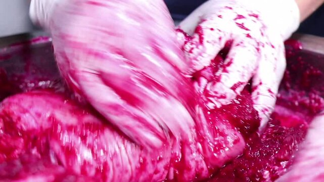 Pork legs mixed with beetroot sauce
