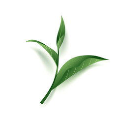 green tea original herbs from japan