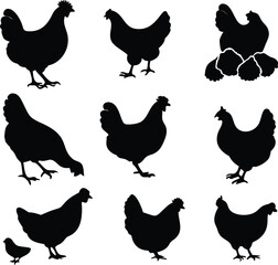 hen chicken icon set. chicken silhouettes, vector Illustration