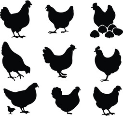 hen chicken icon set. chicken silhouettes, vector Illustration