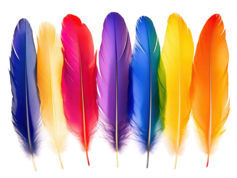 Isolated Set of Vibrant Gradient Colored Feathers