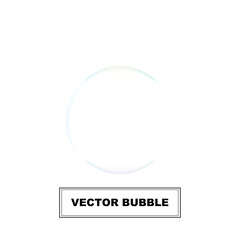 Soap Bubble Vector Illustration
