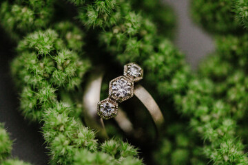 Wedding Rings