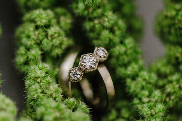 Wedding Rings
