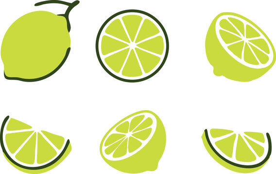 icon lime slice green isolated on white background, lemon half fruit lime. Fresh green cut citrus vector illustration