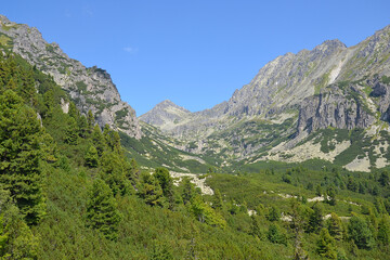 Mlynicka dolina, a valley located in the Slovak High Tatras. View from the Solisko Express chairlift; Slovakia