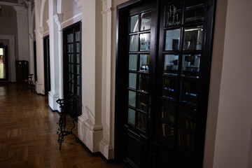 Elegant hallway interior with dark wooden doors and classic architectural details