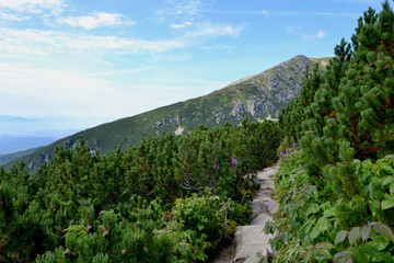 Trekking route. Mountain hiking trail leading from Chata pod Soliskiem to Predne Solisko peak...