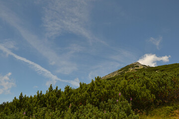 Views from the trekking route. Mountain hiking trail leading from Chata pod Soliskiem to Predne...