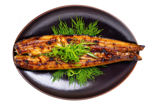 Grilled Unagi Japanese Eel Dish, Delicious Recipe and Preparation