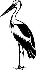 Black and white stork illustration