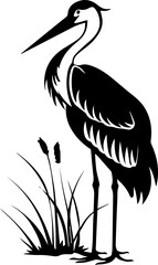 Black and white stork illustration