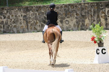 Female Rider Performing Dressage Test with Horse in Competition Arena