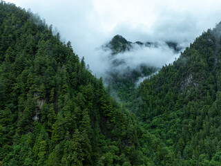 Aerial view of  beautiful foggy forest mountain landscape