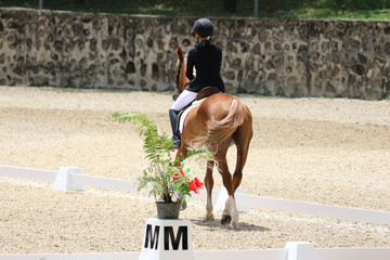 Female Rider Performing Dressage Test with Horse in Competition Arena