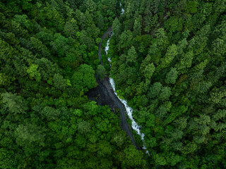 Aerial view of  beautiful  forest mountain landscape