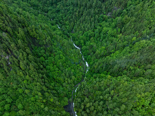 Aerial view of  beautiful  forest mountain landscape