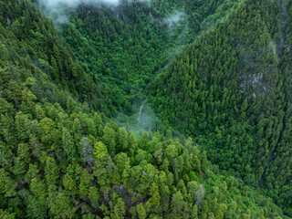 Aerial view of  beautiful foggy forest mountain landscape