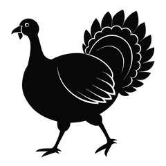 Fototapeta premium Black and white illustration of a walking turkey bird depicting thanksgiving wildlife and farm animal elements