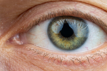 Macro photo of human eye looking. close-up detail of green eye.