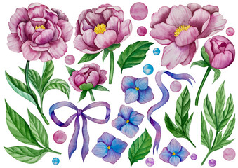 Pink garden flowers isolated on white background, watercolor illustration. Pink floral bouquet, burgundy peonies border. lilac hydrangea, frame, wreath. Summer design. Wedding invitation