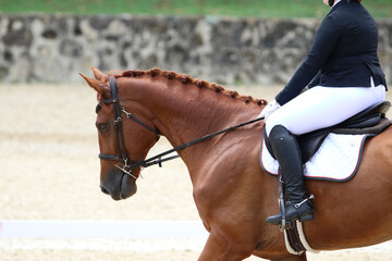 Obraz premium Female Rider Performing Dressage Test with Horse in Competition Arena