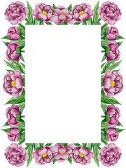 Pink garden flowers isolated on white background, watercolor illustration. Pink floral bouquet, burgundy peonies border. lilac hydrangea, frame, wreath. Summer design. Wedding invitation