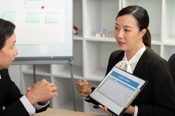 Professional Presentation of Financial Summary. Consultant explaining report.