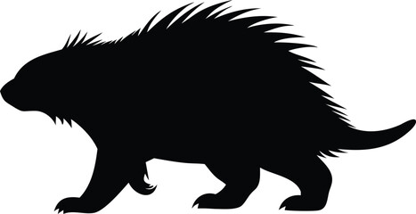 Black vector silhouette of a porcupine walking on a white background wildlife art design.