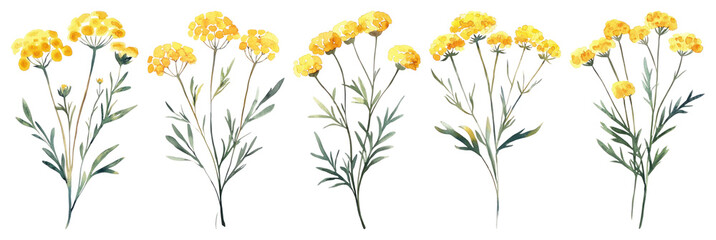 PNG Vintage yellow floral illustration, element set on transparent background