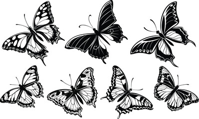 Beautiful  Vector Art  Black silhouette illustration