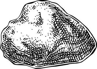 Ambergris sketch. Hand drawn vector illustration. Aromatic ingredients, perfumery, and organic cosmetics logo design. NOT AI generated
