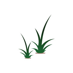 Illustration vector of green grass plant isolated on white