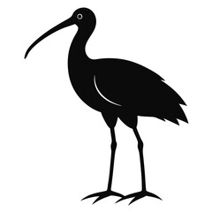 Naklejka premium Silhouette illustration of an ibis bird standing tall depicting nature and wildlife in black and white design