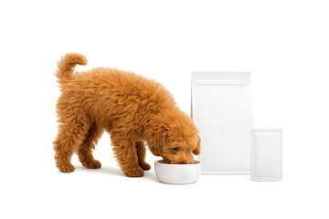 Cute puppy enjoying a meal from a bowl with food packaging nearby in a light setting