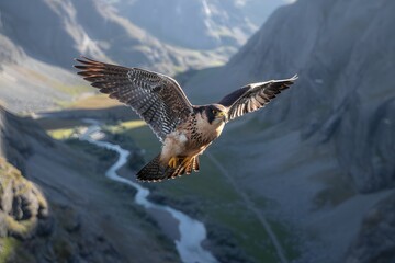 Majestic peregrine falcon in flight over mountain valley